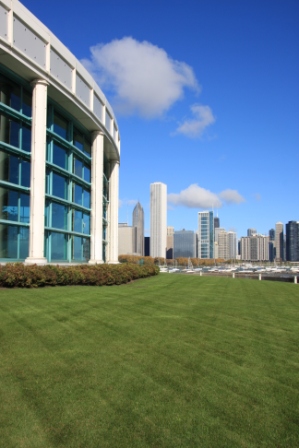 10-Chi Town Lawn